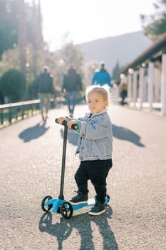 Little girl stands with one foot on the deck of a scooter holding her hands on the steering wheel on the road in the park. High quality photo