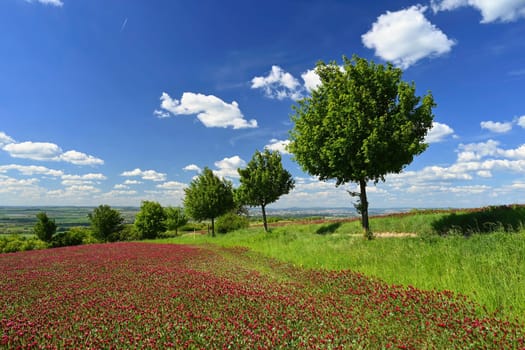 Beautiful landscape in the Czech Republic. Green nature with blue sky and sun.