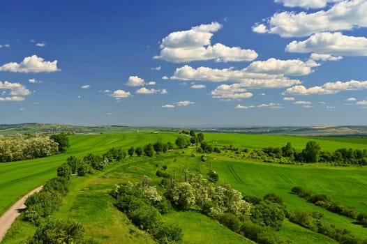 Beautiful landscape in the Czech Republic. Green nature with blue sky and sun.