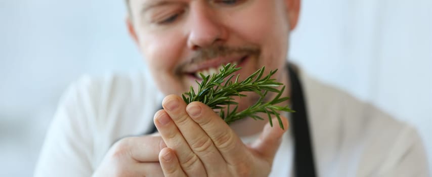 Smiling Chef Holding Green Rosemary Herb Bunch. Professional Cook with Herbal Ingredient for Cooking. Aromatic Greens in Kitchen. Spicy Plant for Kitchen Culinary Food Partial View Photography