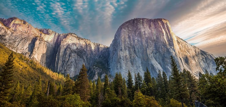 World famous rock climbing wall of El Capitan, Yosemite national park, California, usa