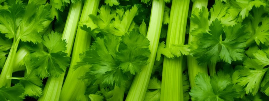 Fresh green celery texture background, Seamless close up