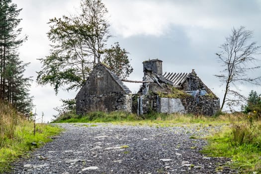 Derelict house in the forest at Letterilly by Glenties, County Donegal, Ireland.