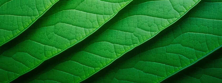 Green leaf close-up texture background