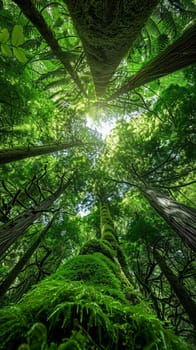 A lush expanse of an ancient forest unfolds beneath a verdant canopy, with gigantic trees ascending into the sky, enrobed in vibrant moss and life.