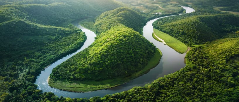 The meandering river cuts a sinuous path through the dense greenery, as seen from above, highlighting the contrast between water and forest.