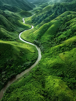 The peaceful green river winds elegantly through undulating hills, creating a harmonious natural pattern as viewed from the skies.