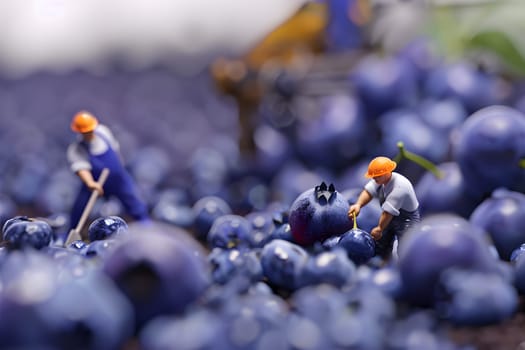 Tiny figures are harvesting electric blueblueberries in a field. These superfoods are seedless fruits found in nature, resembling small grapes, grown on flowering plants in nutrientrich soil