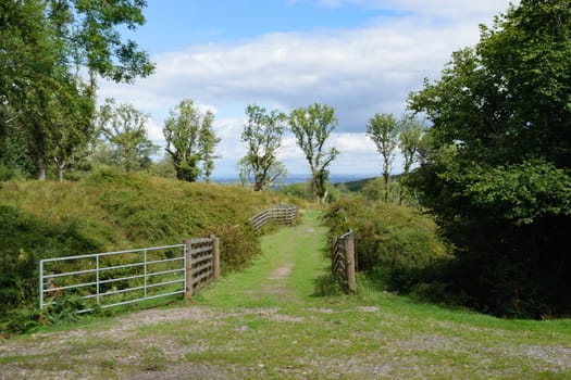 A rural path with a metal gate and wooden fence surrounded by lush greenery and trees under a partly cloudy sky.