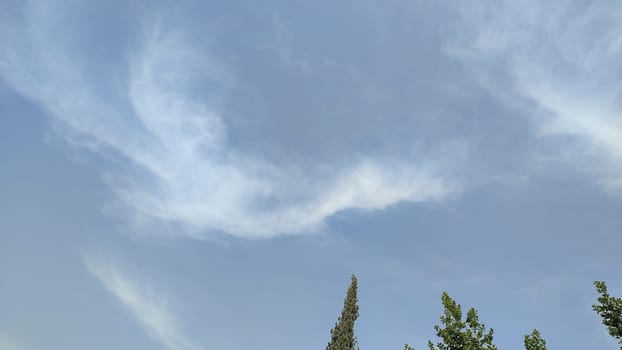 nature background blue sky, white clouds, green trees. High quality photo