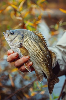 The fisherman holds a fish in his hands. Selective focus. nature.