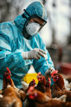 A veterinarian in a protective suit takes tests on animals on a farm. Selective focus. animal.