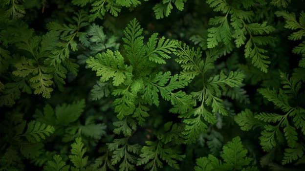 Verdant fern leaves create a textured pattern in the soft diffused light filtering through a dense forest canopy - Generative AI