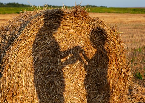 A round hay roll sits in a golden field at sunset with a long shadow of two people embracing cast on it. The sky is light blue, and the field continues in the background.