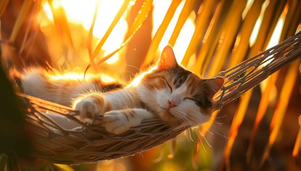 A cat is sleeping on a hammock by AI generated image.