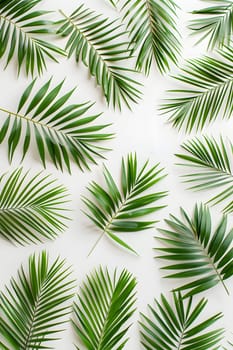 Various types of palm leaves, a terrestrial plant belonging to the Arecales order, are displayed on a white background showcasing patterns, symmetry, and beauty