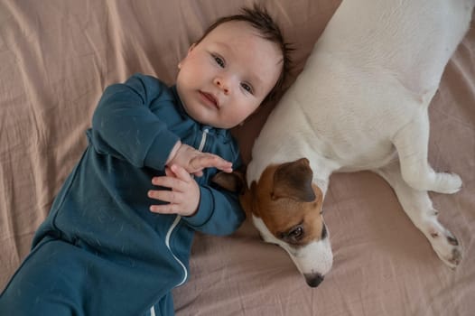 Top view of Jack Russell Terrier dog and three month old boy lying on bed