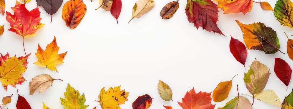 Applique of autumn leaves. Selective focus. nature.