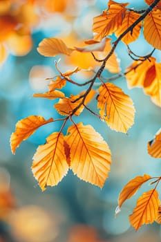 Tree branch with yellow leaves. Selective focus. Nature.