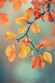 Tree branch with yellow leaves. Selective focus. Nature.