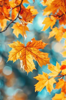 Tree branch with yellow leaves. Selective focus. Nature.