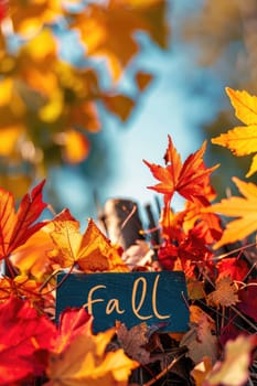 Applique of autumn leaves. Selective focus. nature.