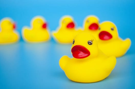 Close up of rubber duck leading other rubber duck with customizable space for text.