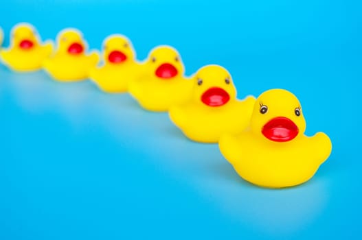 Rubber duck leading other rubber ducks with customizable space for text. Leadership concept.