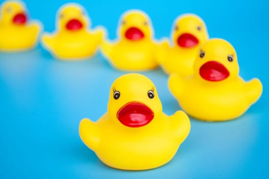 Close up of rubber duck leading other rubber ducks. Leadership and followers concept.