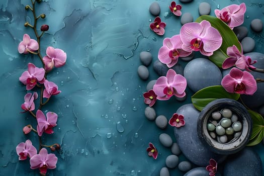 Pink orchids with black rocks on a blue background create a stunning contrast. The vibrant petals of the flowering plant stand out beautifully against the terrestrial setting