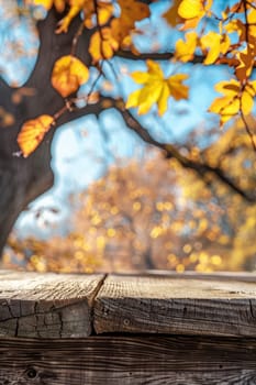 Wooden table in the autumn park. Selective focus. Nature.