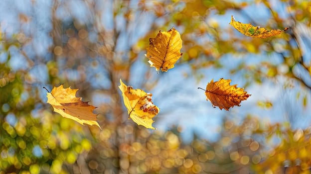 Autumn leaves are flying against the sky. Selective focus. nature.