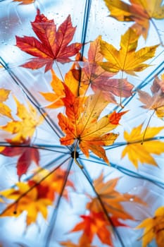 Autumn leaves are flying against the sky. Selective focus. nature.