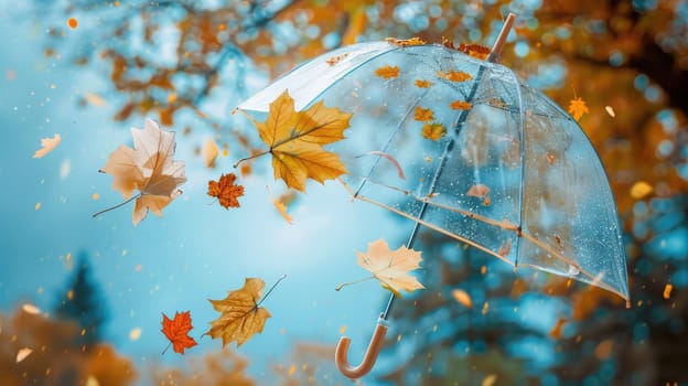 Autumn leaves are flying against the sky. Selective focus. nature.