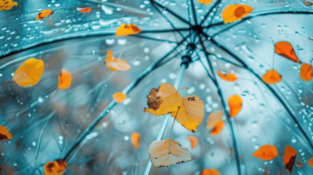 Autumn leaves are flying against the sky. Selective focus. nature.