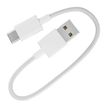 cable with USB and Type-C connector insulated on white background