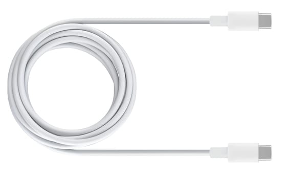 cable with USB and Type-C connector insulated on white background