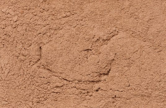 Dry ground cocoa powder, texture. Close up