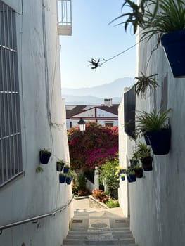 White narrow street, alley with potted plants on the wall. High quality photo