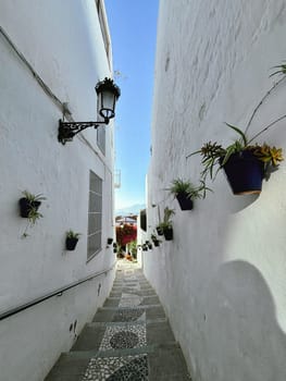 White narrow street, alley with potted plants on the wall. High quality photo