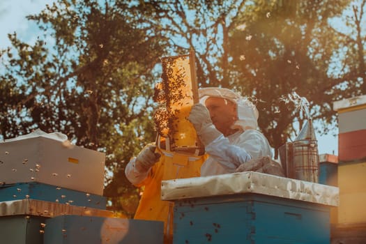 Beekeepers checking honey on the beehive frame in the field. Small business owners on apiary. Natural healthy food produceris working with bees and beehives on the apiary