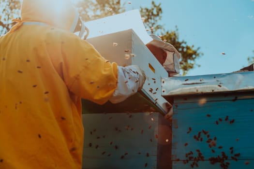 Beekeepers checking honey on the beehive frame in the field. Small business owners on apiary. Natural healthy food produceris working with bees and beehives on the apiary