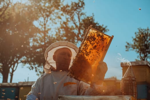 Beekeeper checking honey on the beehive frame in the field. Small business owner on apiary. Natural healthy food produceris working with bees and beehives on the apiary