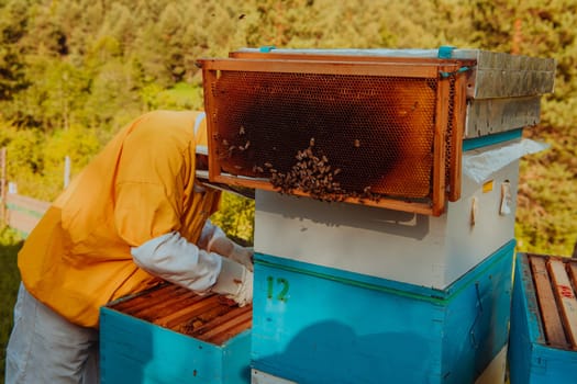 Beekeeper checking honey on the beehive frame in the field. Beekeeper on apiary. Beekeeper is working with bees and beehives on the apiary. Small business concept