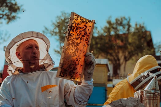 Beekeepers checking honey on the beehive frame in the field. Small business owners on apiary. Natural healthy food produceris working with bees and beehives on the apiary