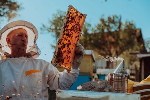 Beekeepers checking honey on the beehive frame in the field. Small business owners on apiary. Natural healthy food produceris working with bees and beehives on the apiary