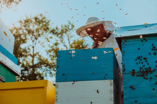 Beekeeper checking honey on the beehive frame in the field. Natural healthy food produceron apiary. Small business owneris working with bees and beehives on the apiary