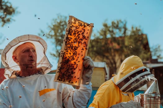 Beekeepers checking honey on the beehive frame in the field. Small business owners on apiary. Natural healthy food produceris working with bees and beehives on the apiary