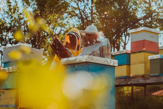 Beekeepers checking honey on the beehive frame in the field. Small business owners on apiary. Natural healthy food produceris working with bees and beehives on the apiary