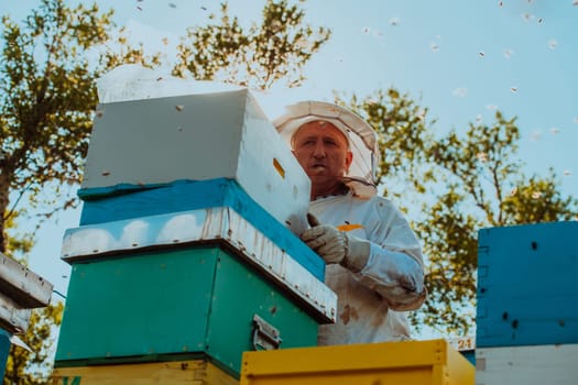 Beekeeper checking honey on the beehive frame in the field. Natural healthy food produceron apiary. Small business owneris working with bees and beehives on the apiary